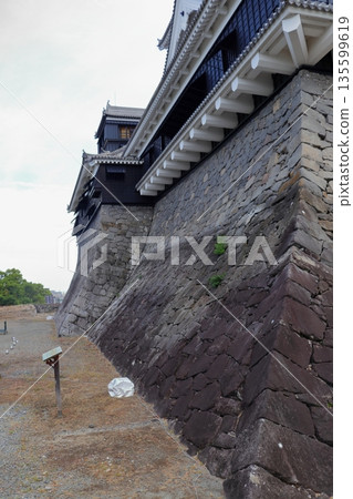 歷史與自然和諧共存的熊本城,與加藤清正(熊本縣)有著千絲萬縷的聯繫 歷史與自然和諧共存的熊本城,與加藤清正(熊本縣)有著千絲萬縷的聯繫 135599619