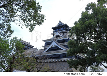 歷史與自然和諧共存的熊本城，與加藤清正（熊本縣）有著千絲萬縷的聯繫 135599623