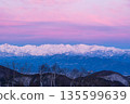 The Northern Alps Morgenrot before dawn from Minenohara Plateau in winter 135599639