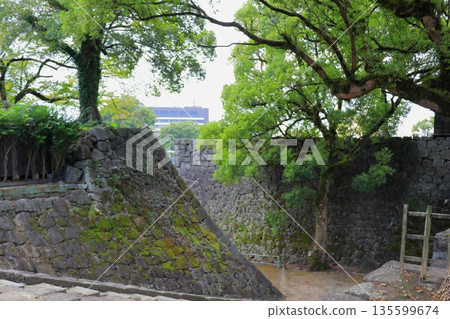 歷史與自然和諧共存的熊本城，與加藤清正（熊本縣）有著千絲萬縷的聯繫 135599674