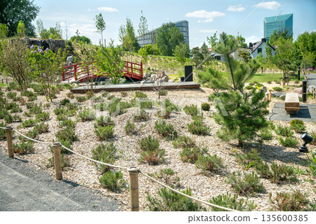 Japanese garden in Vilnius (new young garden) . With pond and a little Rhododendron blossoms 135600385