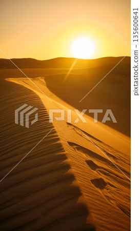 Desert Dune Ridge at Golden Sunset Desert Dune Ridge at Golden Sunset 135600641