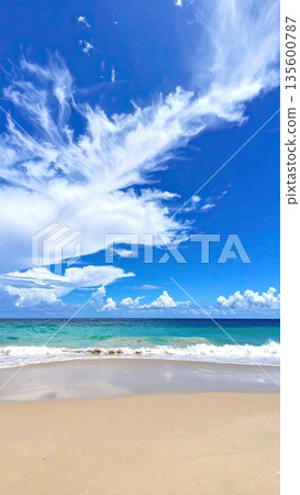 AI圖像：仲夏海灘圖像 135600787