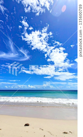 AI Image: Midsummer Beach Image 135600789