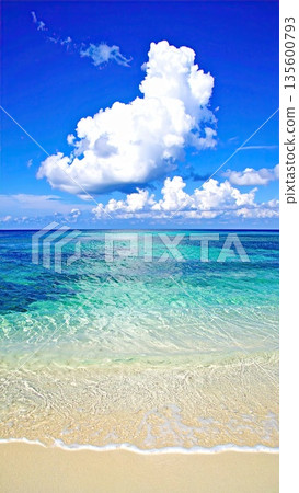 AI圖像：仲夏海灘圖像 135600793