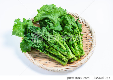 White background photo of rape blossoms on a bamboo basket Spring vegetable material White background photo of rape blossoms on a bamboo basket Spring vegetable material 135601043