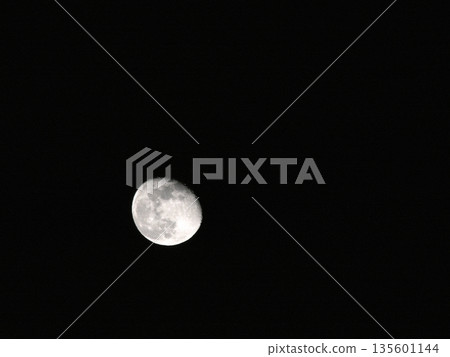 Moon Moon 135601144