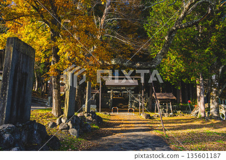 秋季紅葉時分的白馬村細野諏訪神社 135601187