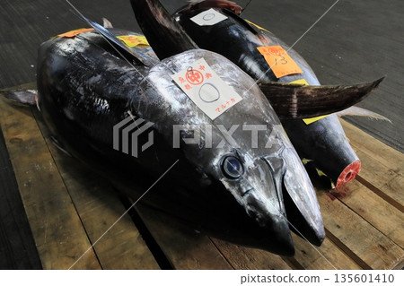 生藍鰭鮪魚拍賣 生藍鰭鮪魚拍賣 135601410