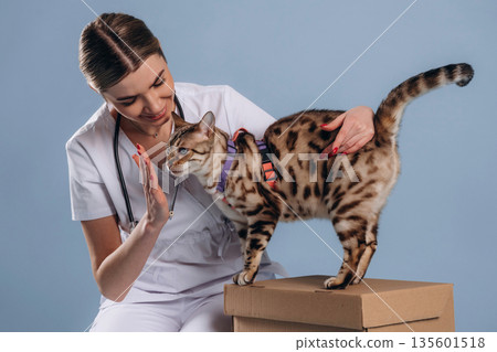 Smiling, cheerful facial expression. Female veterinarian is with Bengal cat Smiling, cheerful facial expression. Female veterinarian is with Bengal cat 135601518