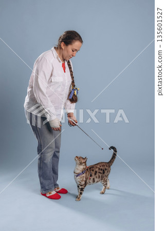 Fun, playing with animal. Female veterinarian is with Bengal cat Fun, playing with animal. Female veterinarian is with Bengal cat 135601527