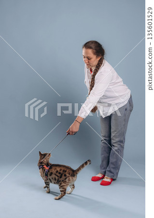 Fun, playing with animal. Female veterinarian is with Bengal cat 135601529