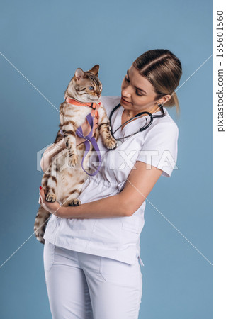 Holding animal in hands. Female veterinarian is with Bengal cat Holding animal in hands. Female veterinarian is with Bengal cat 135601560