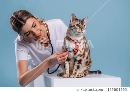 Using stethoscope. Female veterinarian is with Bengal cat Using stethoscope. Female veterinarian is with Bengal cat 135601563
