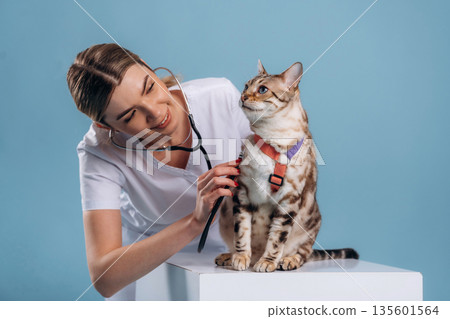 Using stethoscope. Female veterinarian is with Bengal cat Using stethoscope. Female veterinarian is with Bengal cat 135601564