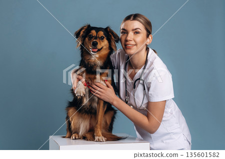 Woman veterinarian is with mixed-breed dog 135601582