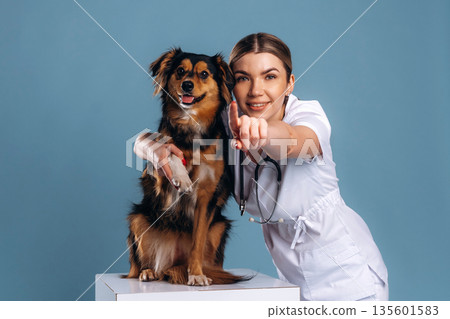 Woman veterinarian is with mixed-breed dog Woman veterinarian is with mixed-breed dog 135601583