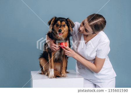 Professional cardiologist, small heart. Woman veterinarian is with mixed-breed dog Professional cardiologist, small heart. Woman veterinarian is with mixed-breed dog 135601590