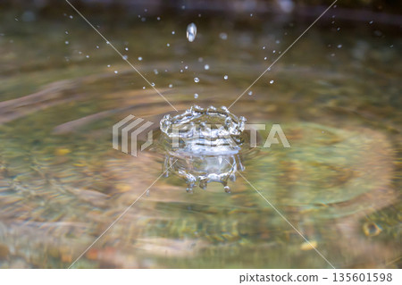 Water droplets floating on the water surface 135601598