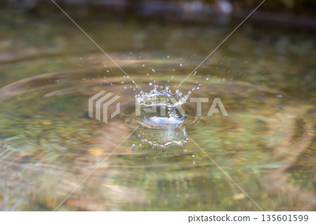 Ripples on the water surface 135601599