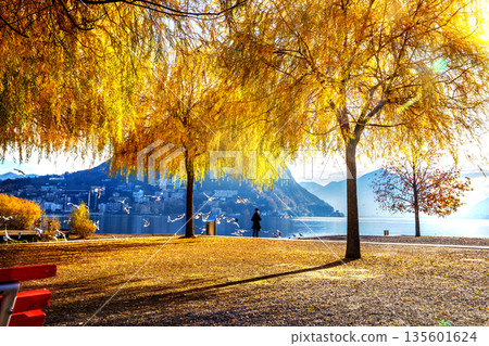 Ciani park with autumn leaf color in Lugano city -fantastic day Ciani park with autumn leaf color in Lugano city -fantastic day 135601624