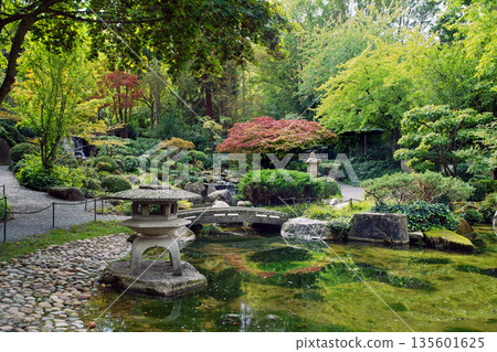 Japanese garden with stream, small waterfall and Japanese maple trees and rocks Japanese garden with stream, small waterfall and Japanese maple trees and rocks 135601625