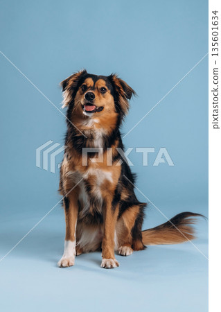 Generated image 135601634