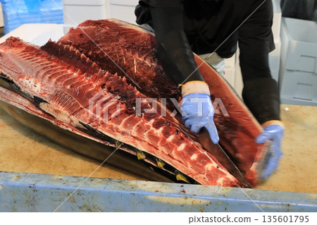 鮪魚加工師傅正在對生鮪魚進行去骨處理 135601795