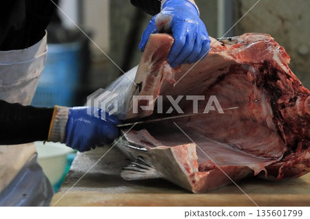 鮪魚加工師傅正在對生鮪魚進行去骨處理 鮪魚加工師傅正在對生鮪魚進行去骨處理 135601799