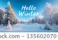 Hello winter: serene snowy forest landscape with frosted trees and clear blue sky 135602070