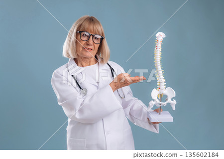 Human spine model, showing it. Senior woman doctor is against background Human spine model, showing it. Senior woman doctor is against background 135602184