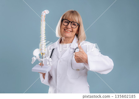 Human spine model, showing it. Senior woman doctor is against background Human spine model, showing it. Senior woman doctor is against background 135602185