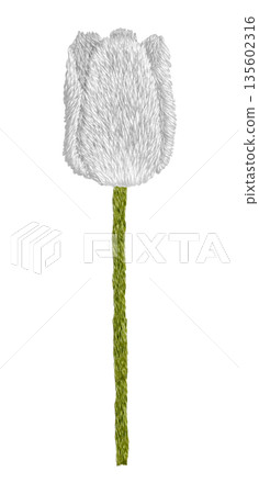 [White tulips] Hand-embroidered illustration material 135602316