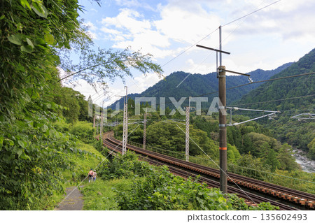Nagano Prefecture: Mountain railway leading to Nezame-no-Toko and lush autumn scenery 135602493