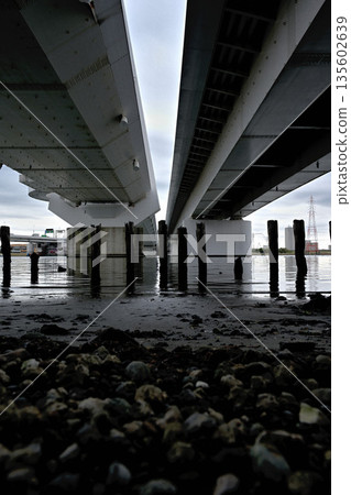 Under the bridge over the river mouth 135602639