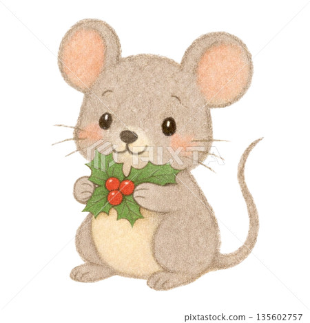 【聖誕節】色鉛筆插畫，一隻老鼠拿著一片冬青葉 135602757