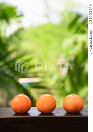 Three Fresh Oranges with Tropical Leaves Background for Healthy Lifestyle Concept Three Fresh Oranges with Tropical Leaves Background for Healthy Lifestyle Concept 135603149