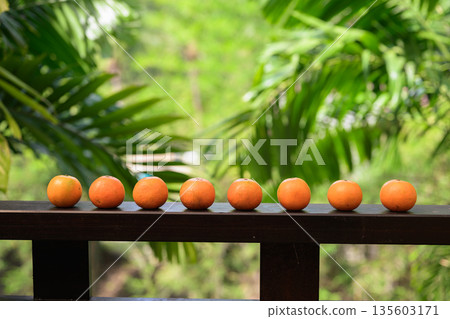 Many Fresh Oranges with Tropical Leaves Background for Healthy Lifestyle Concept 135603171