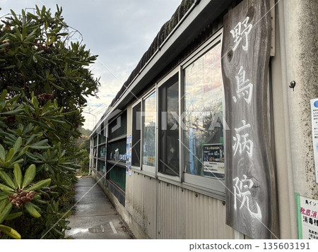 Wild Bird Hospital in Ichikawa City, Chiba Prefecture Wild Bird Hospital in Ichikawa City, Chiba Prefecture 135603191