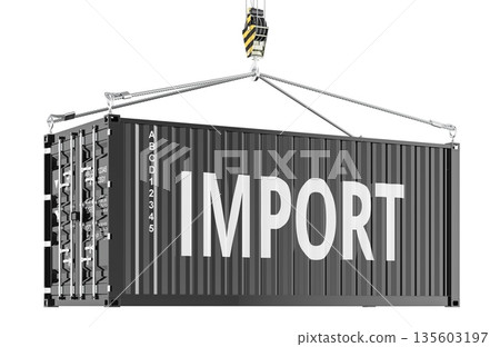 Import concept, shipping container lifted by crane. 3D rendering Import concept, shipping container lifted by crane. 3D rendering 135603197