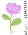 Purple tulip flower with green leaves for nature, garden, tree, plants, blossom, blooming, park, picnic, home yard, sticker, cartoon, floral print, decoration, patch, brooch, pin, tattoo, icon 135603256