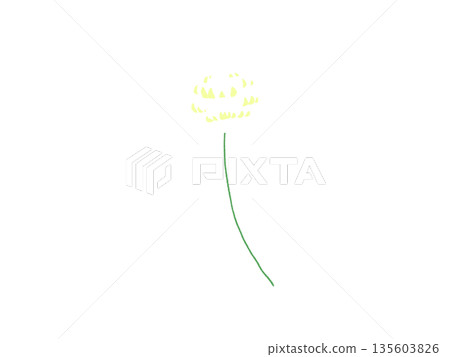 White flower flowers White flower flowers 135603826