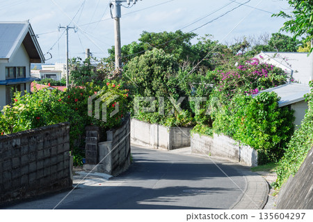 Anime-style summer slope, Japanese residential area with blooming bougainvillea and hibiscus (background material, copy space) 135604297