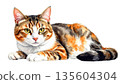 貓咪插圖（側坐的貓） 135604304