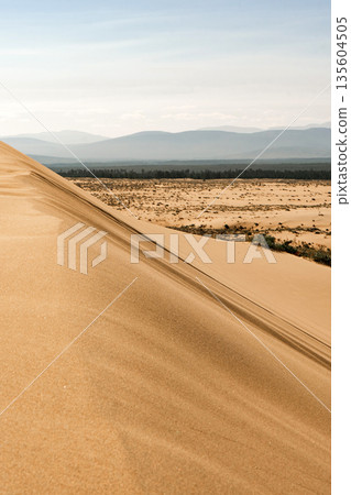 Chara sands desert dune in Trans-Baikal region Chara sands desert dune in Trans-Baikal region 135604505