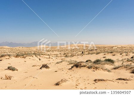 Chara sands desert landscape under clear blue sky with distant mountains 135604507