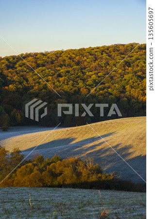 Autumn forest meeting frosty fields at sunrise in Silica 135605697