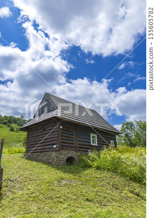 Osturna village traditional wooden log house standing on green hill Osturna village traditional wooden log house standing on green hill 135605782