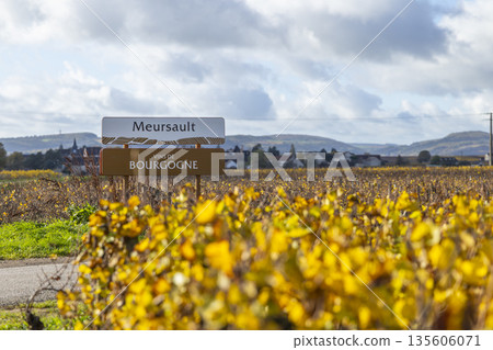 Meursault Vins de Bourgogne sign displaying vineyard autumn colors Meursault Vins de Bourgogne sign displaying vineyard autumn colors 135606071