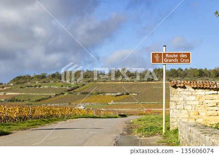 Route des Grands Crus sign in an autumn vineyard landscape 135606074
